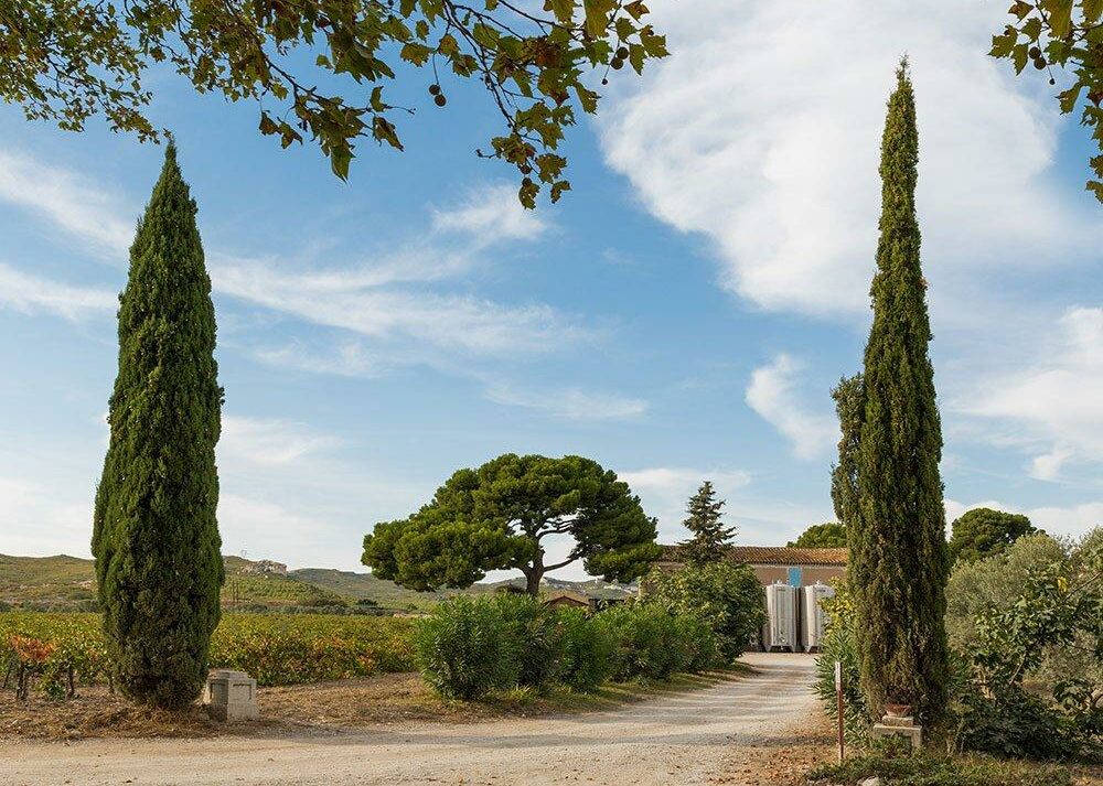 An image illustrating Le domaine de Suriane : quand le vin raconte la Provence